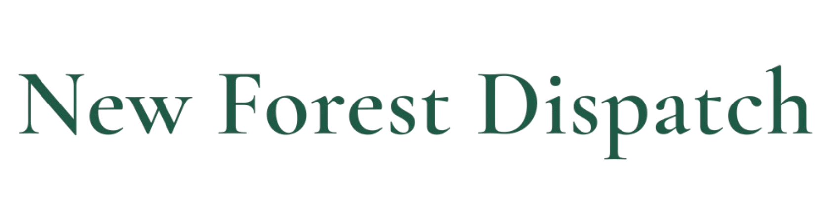 New Forest Dispatch